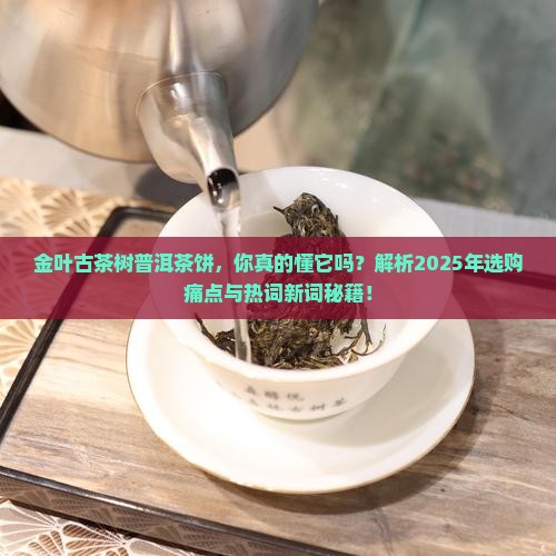 金叶古茶树普洱茶饼