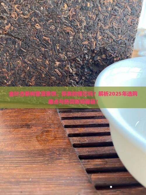 金叶古茶树普洱茶饼