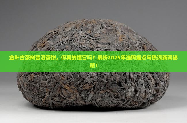 金叶古茶树普洱茶饼
