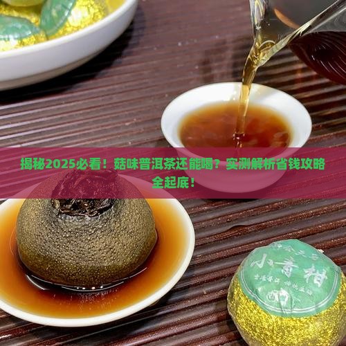 菇味的普洱茶还能喝吗