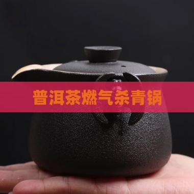 普洱茶燃气杀青锅