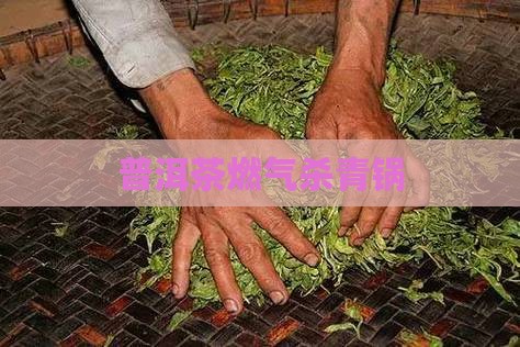 普洱茶燃气杀青锅
