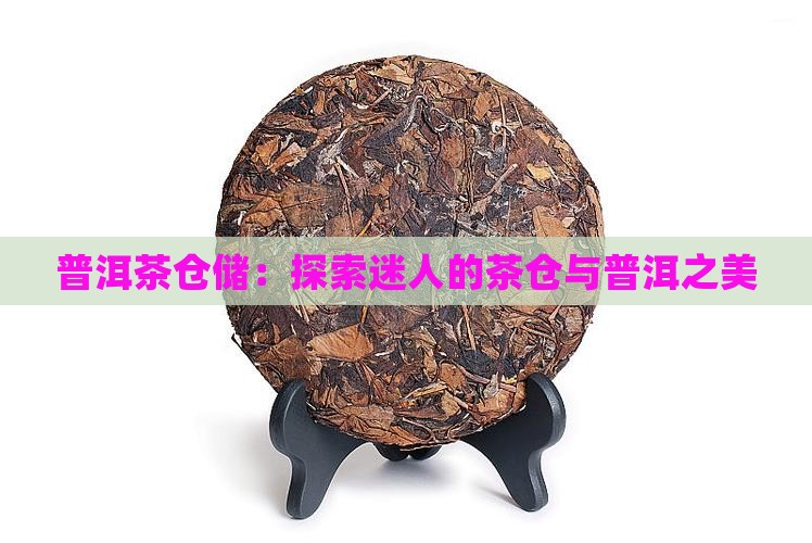 迷人的普洱茶仓储