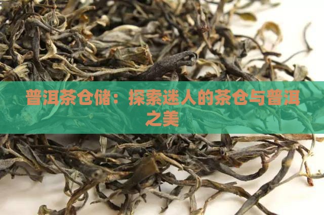 迷人的普洱茶仓储