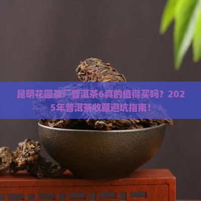 昆明花园茶厂普洱茶6