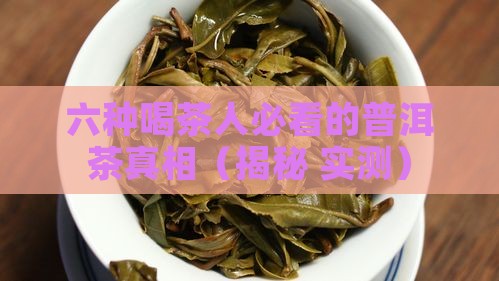 六大茶山传承臻品普洱茶