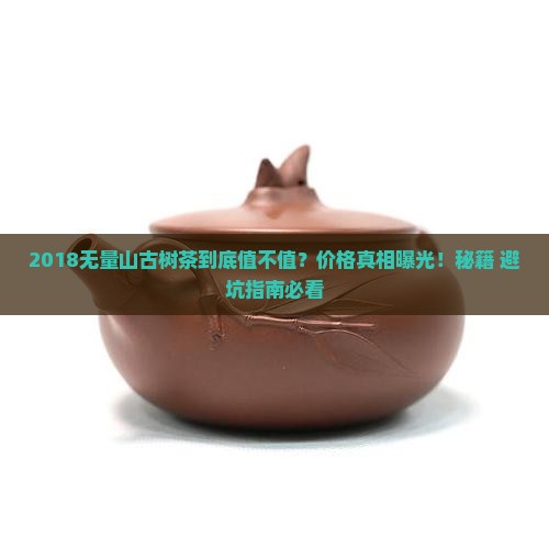 2018无量山古树茶价格