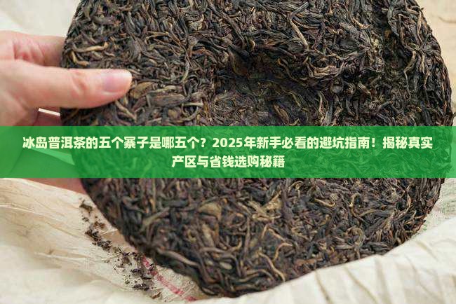 冰岛普洱茶的五个寨子是哪五个