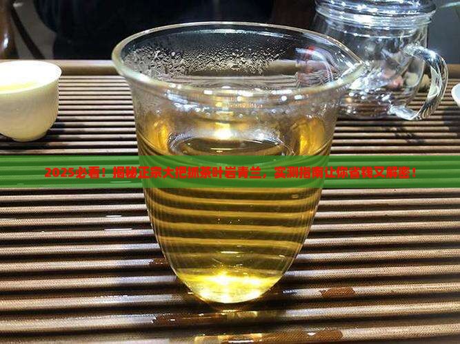 正宗大把抓茶叶岩青兰