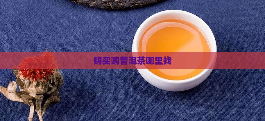 购买购普洱茶哪里找