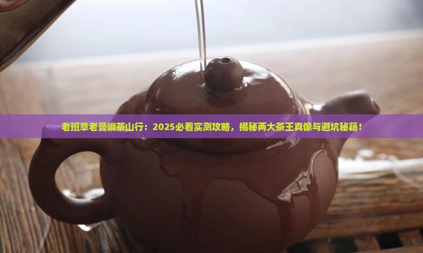 老班章老曼峨茶山行