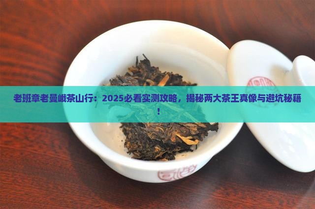 老班章老曼峨茶山行
