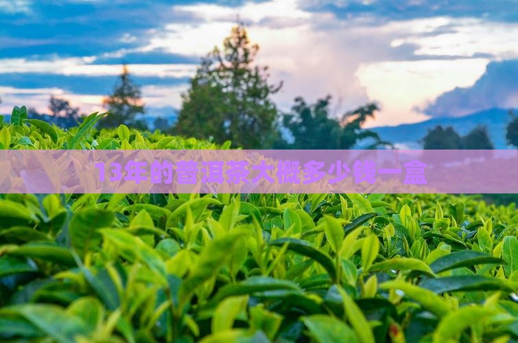 13年的普洱茶大概多少钱一盒