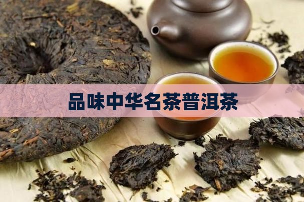 品味中华名茶普洱茶