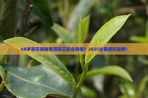 普洱茶王茶业68i8