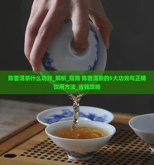 陈普洱茶什么功效