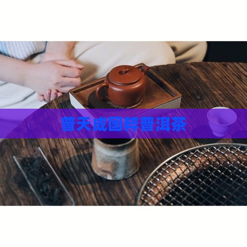 普天成国粹普洱茶