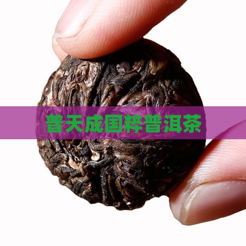 普天成国粹普洱茶