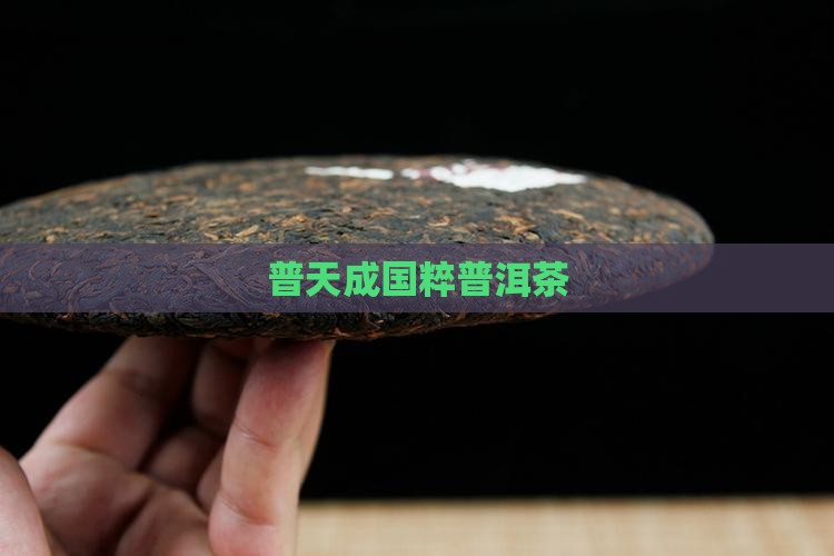 普天成国粹普洱茶