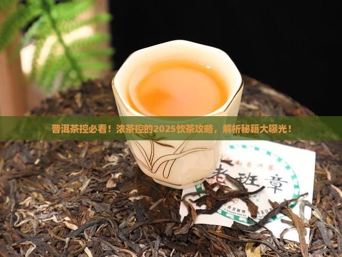 普洱茶喜欢喝浓茶