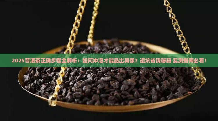 普洱茶正确步骤