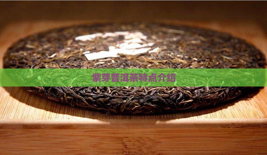 紫芽普洱茶特点介绍
