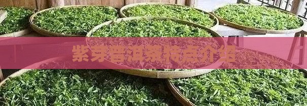 紫芽普洱茶特点介绍