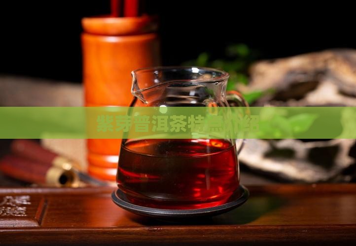 紫芽普洱茶特点介绍