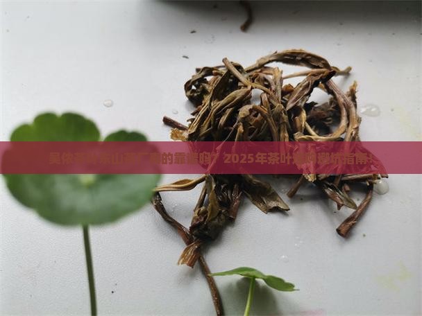 吴侬茶叶东山茶厂