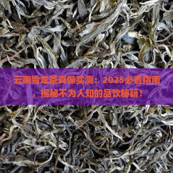 云南雪龙茶的特点