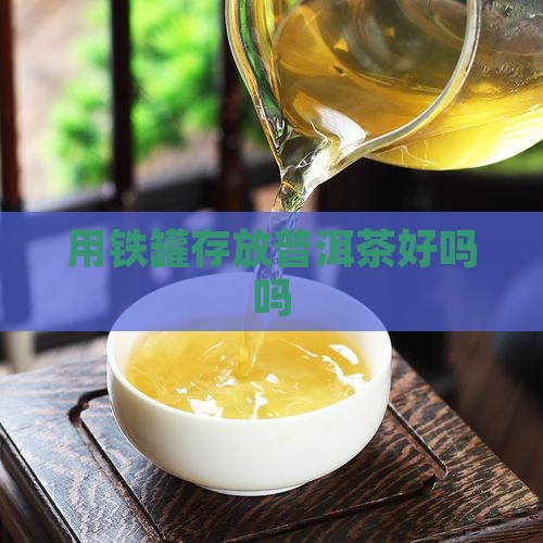 用铁罐存放普洱茶好吗吗