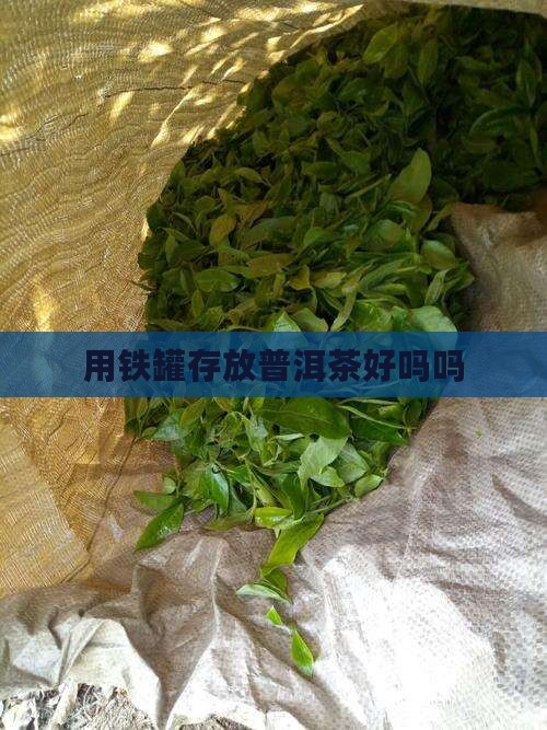 用铁罐存放普洱茶好吗吗