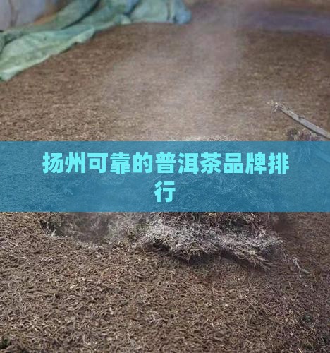扬州可靠的普洱茶品牌排行