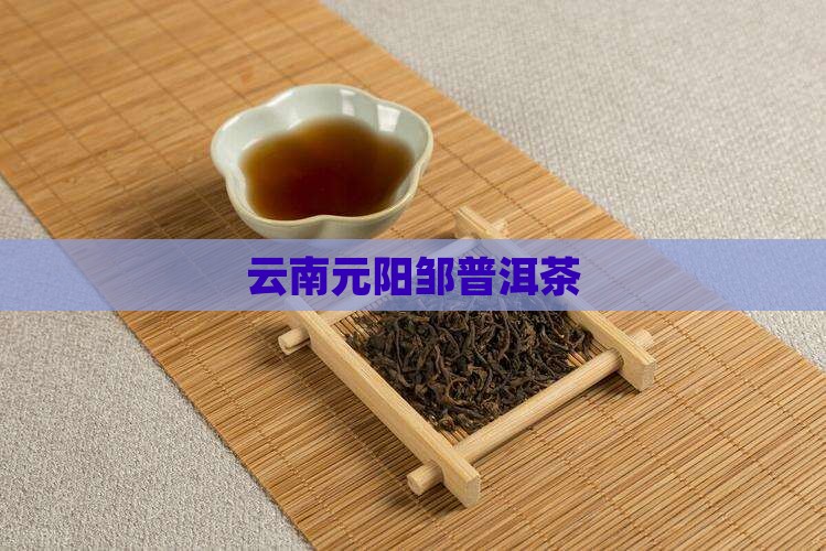 云南元阳邹普洱茶