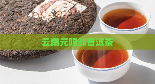 云南元阳邹普洱茶