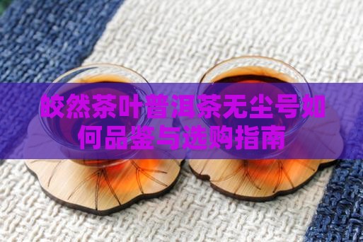 皎然茶叶普洱茶无尘号如何