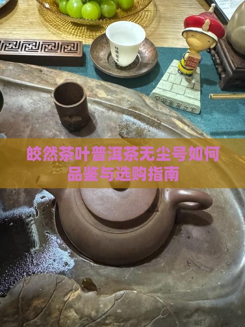 皎然茶叶普洱茶无尘号如何