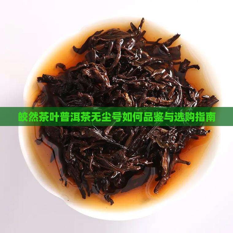 皎然茶叶普洱茶无尘号如何
