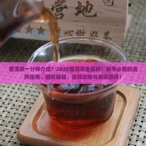 普洱茶一分钟介绍