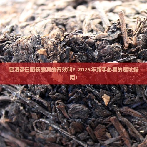 普洱茶日晒夜露