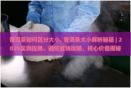 普洱茶如何区分大小