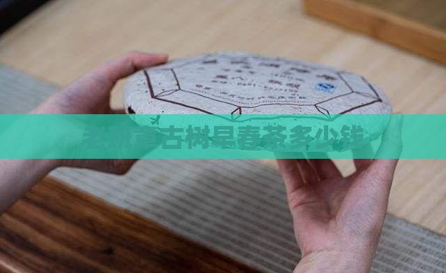 老班章古树早春茶多少钱