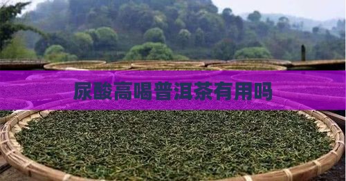尿酸高喝普洱茶有用吗