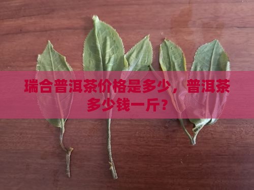 瑞合普洱茶价格是多少钱一斤