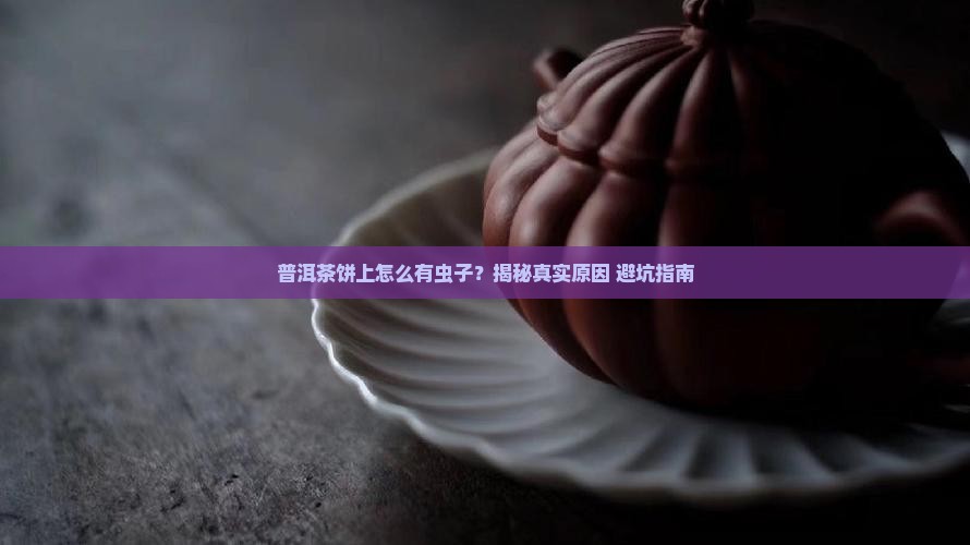 普洱茶饼上面有几个虫子