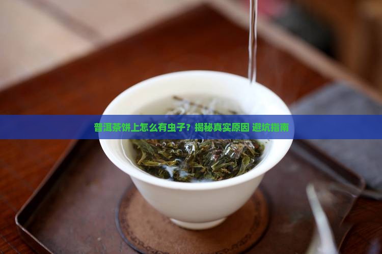 普洱茶饼上面有几个虫子