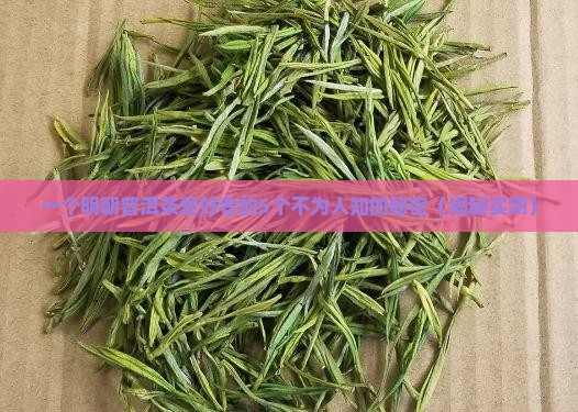 明朝普洱茶的历史