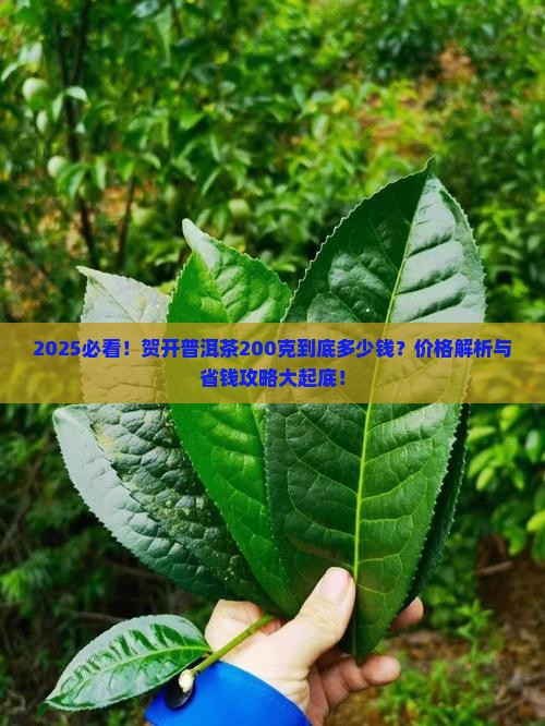 贺开普洱茶200克多少钱