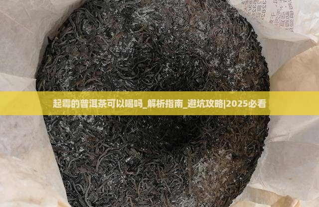 起霉的普洱茶可以喝吗