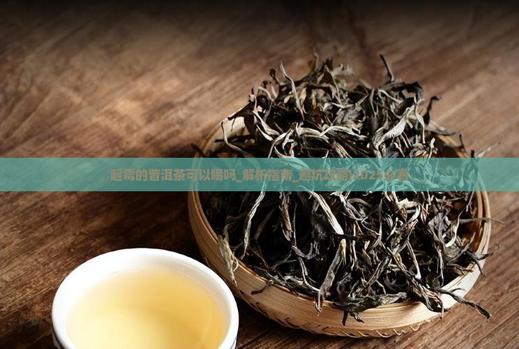 起霉的普洱茶可以喝吗